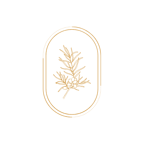 Herb Medical Minimalist Line Logo